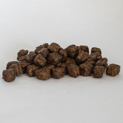 Skinners Field & Trial Puppy Chicken - Image 2