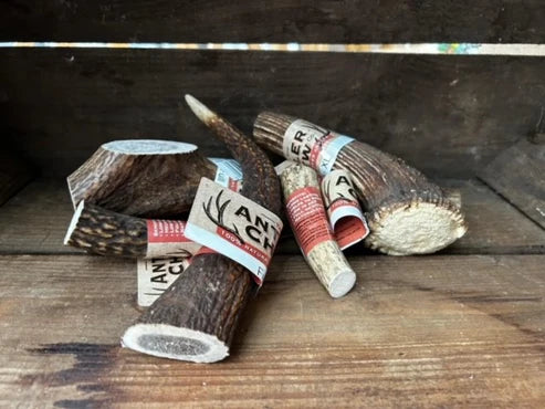 The Antler Chew Co Full Antler XL - Image 2