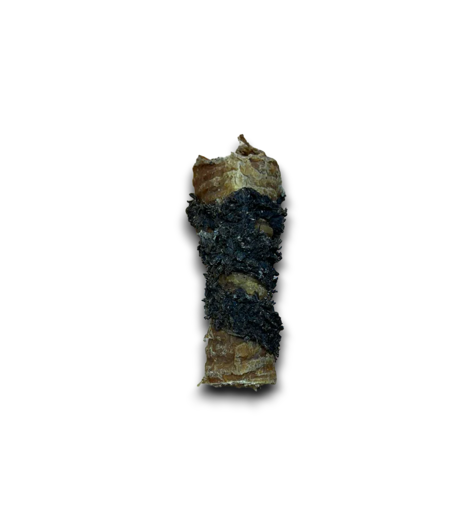 Anco Tripe Wrapped Bully Tube