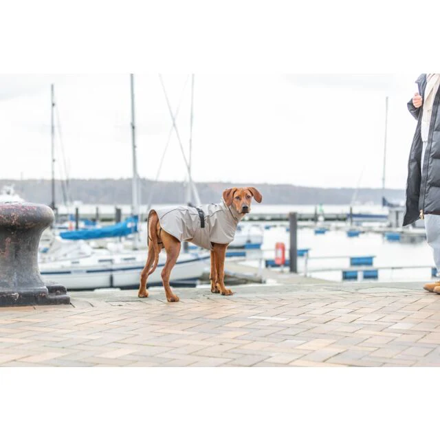 Trixie BE NORDIC Husum Raincoat - Sand - Image 2