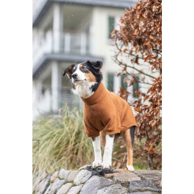 Trixie Sweatshirt CityStyle Amsterdam - Rust - Image 2