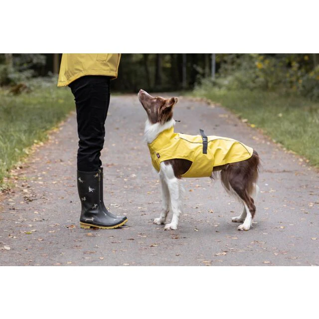 Trixie Vimy Raincoat - Yellow - Image 2
