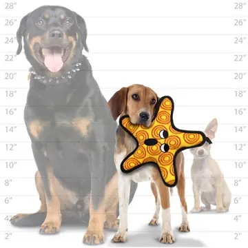 Tuffy Ocean Starfish - Image 5