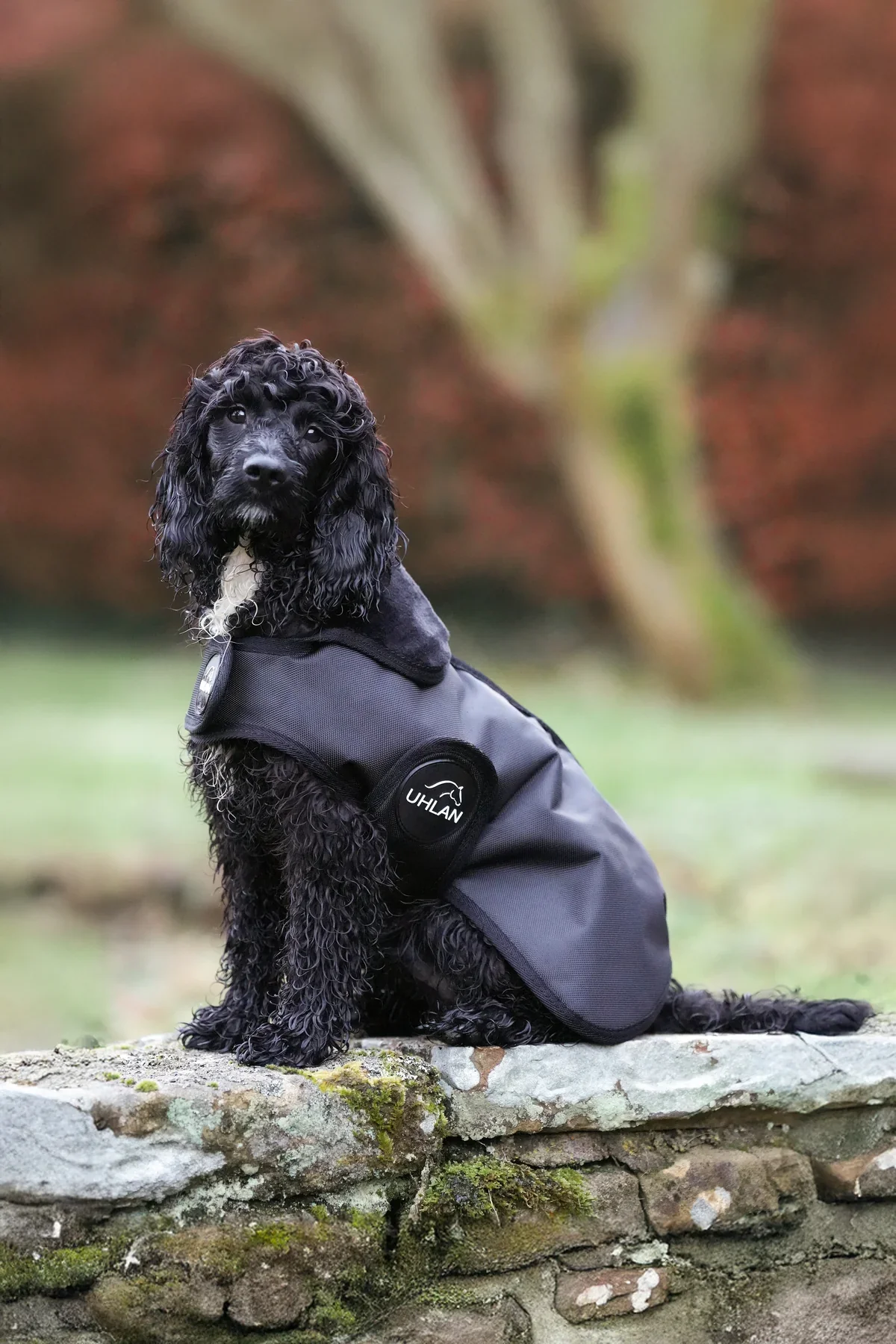 Uhlan Black Waterproof Dog Coat Faux Fur Lined - Extra Large