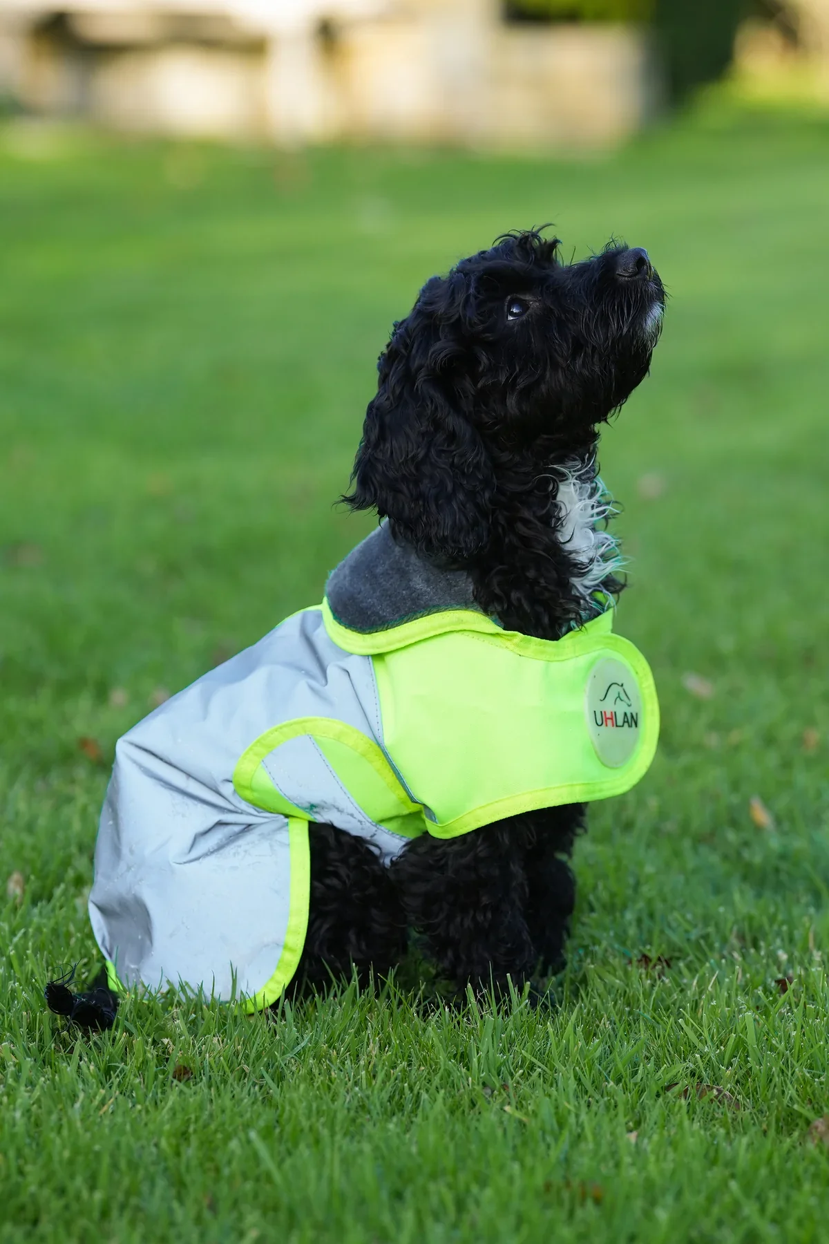 Uhlan Yellow Hi Viz Waterproof Dog Coat - Small